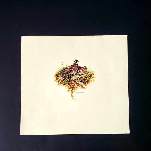 RARE FIND * MICHAEL DUMAS Artist Prints Portfolio VTG Gallery Wall Collection - Picture 6 of 11